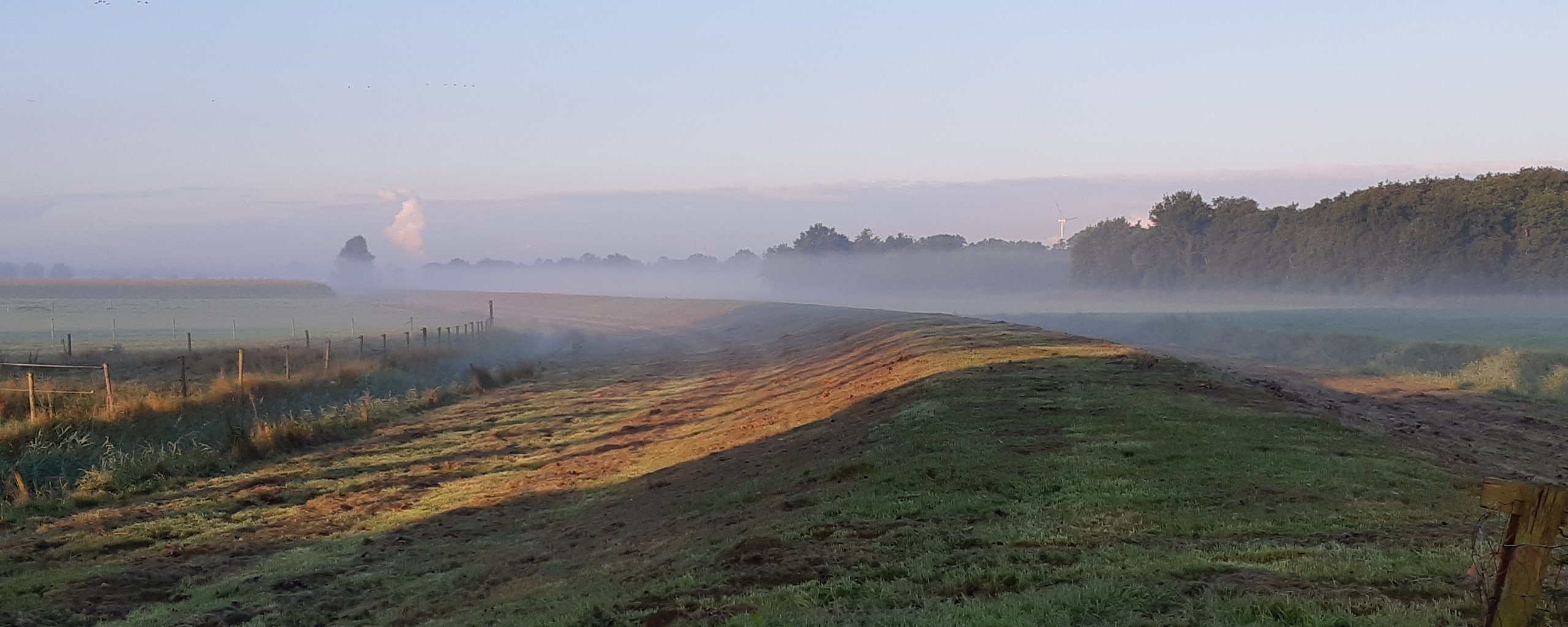 Dijk met gras bij opkomende zon en mist.
