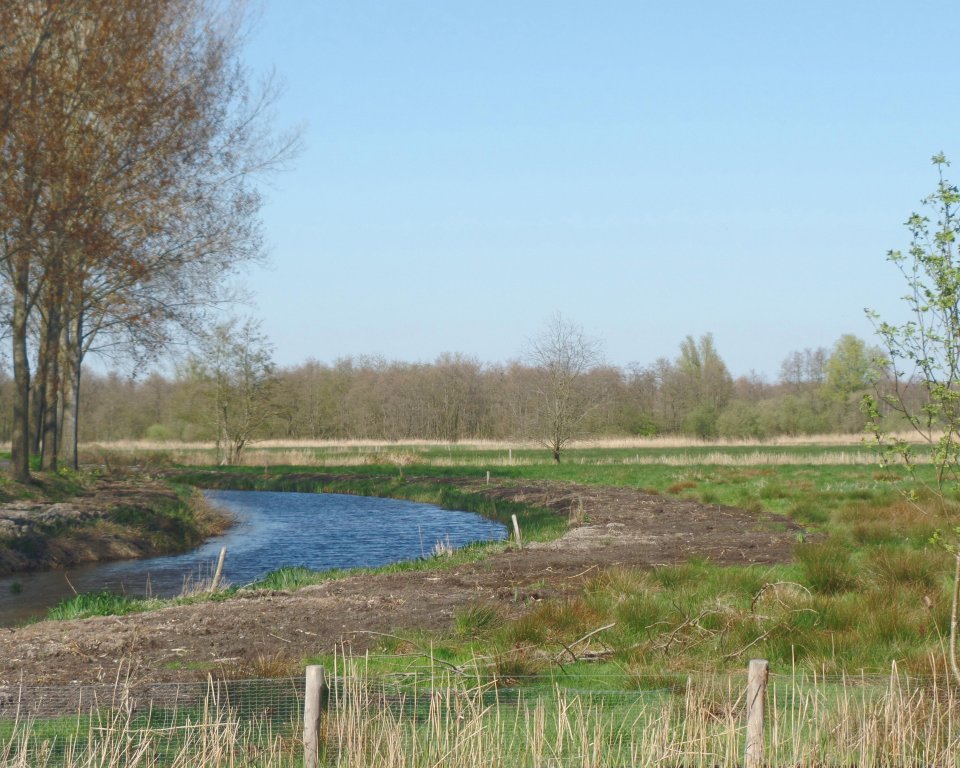 Bomen, sloot die in een bocht naar links loopt en groene stukken grond.