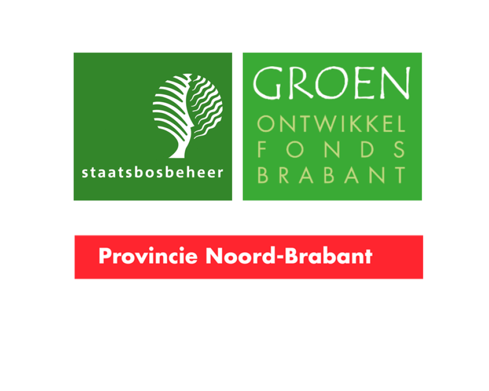 Logo Staatsbosbeheer, logo Groen Ontwikkelfonds Brabant en logo provincie Noord-Brabant