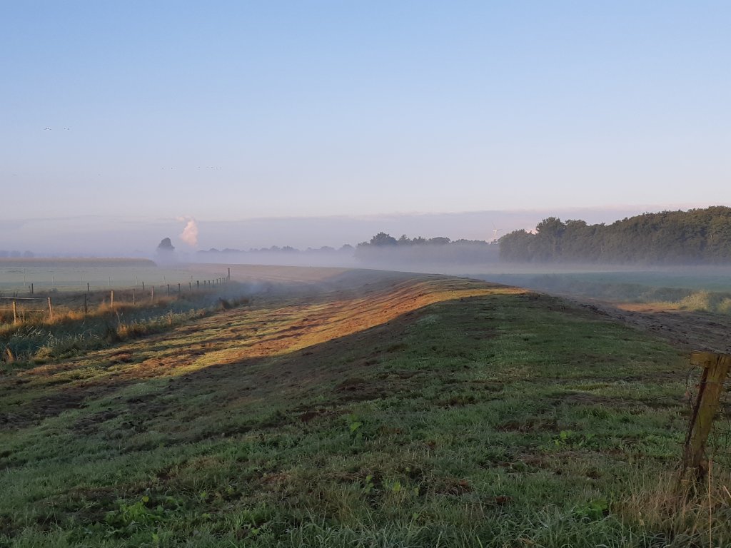 Dijk met gras bij opkomende zon en mist.