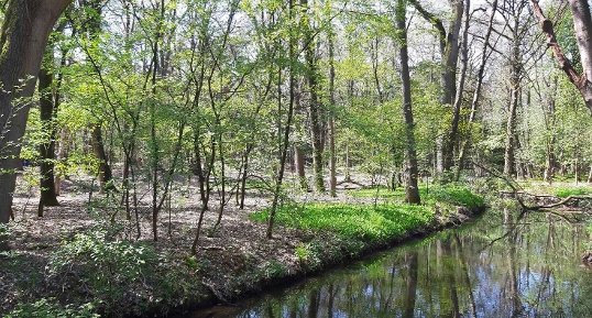 Beekherstel en ecologische verbindingszones oude leij