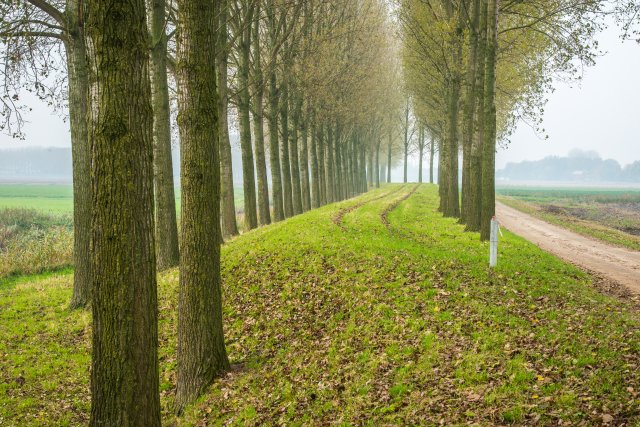 Zeedijk Etten-Leur