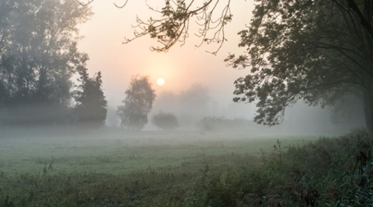 Westelijke langstraat in de mist
